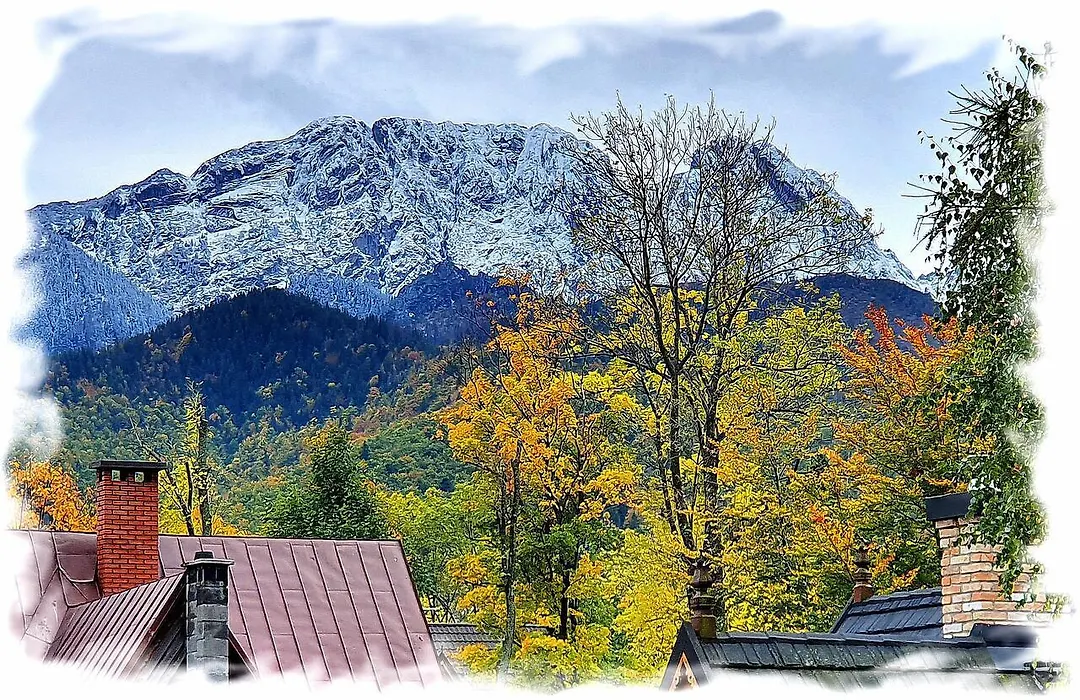 Tatra View-1