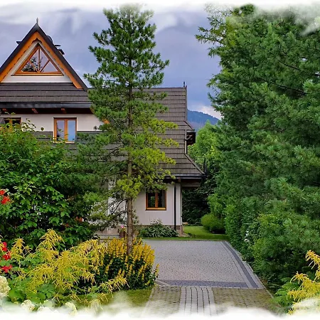 Tatra View-2
